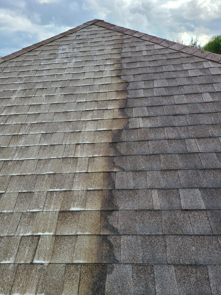 Roof Washing in Estero project 1