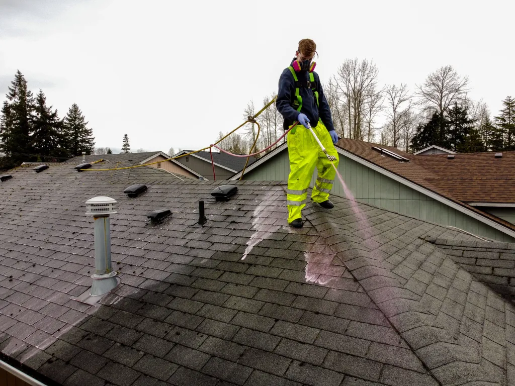 Roof Washing in Estero project 2